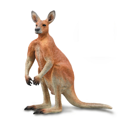 CollectA-Red Kangaroo-Male