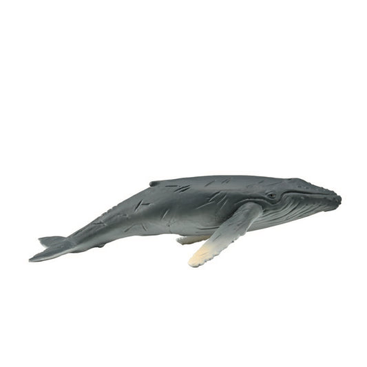 CollectA Humpback Whale Calf