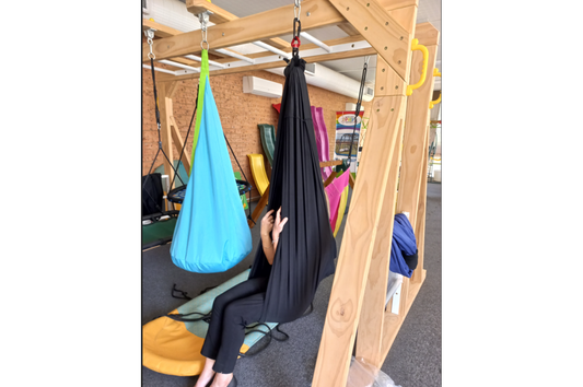 Therapy Lycra swing (Black only)