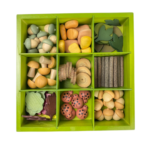 Freckled frog-Nature’s Sorting Box