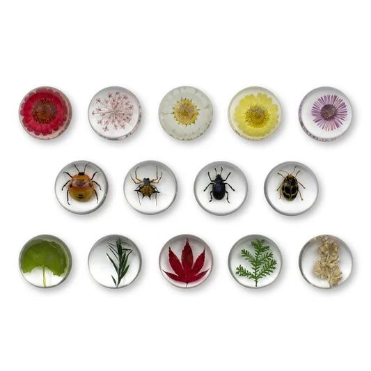Mini Beasts Plant and Insect Pebbles – Set of 14