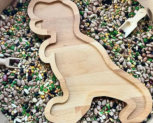 T-REX Sensory Tray