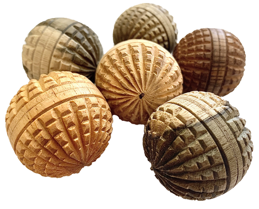 Papoose-Mini WW Acorn Balls-6pc