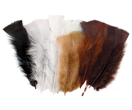 Feathers 60g Natural 240’s