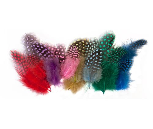 Guinea Fowl Feathers 10g Asst 100’s (Copy)