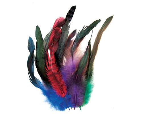Cocktail Feathers 18’s Assorted