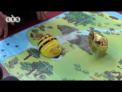 Bee Bots – Haywood Educational Resources