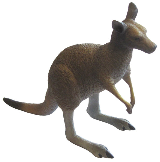 Australian Eastern Grey Kangaroo