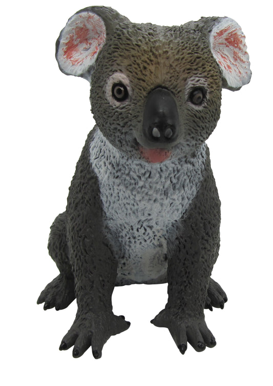 Australian Large Koala