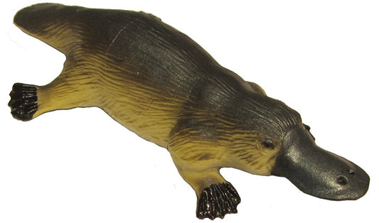 Australian Large Platypus