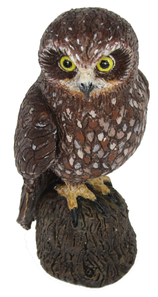 Australian Boobook Owl