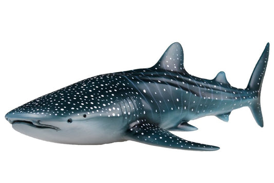 Australian Whale Shark (soft PVC with synthetic fibre filling)