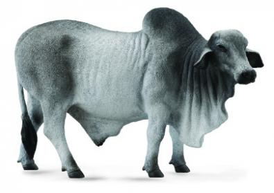 CollectA Brahma Bull