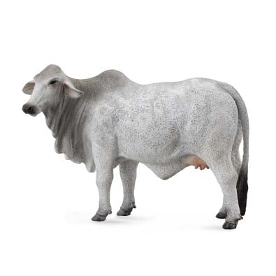 CollectA Brahman Cow