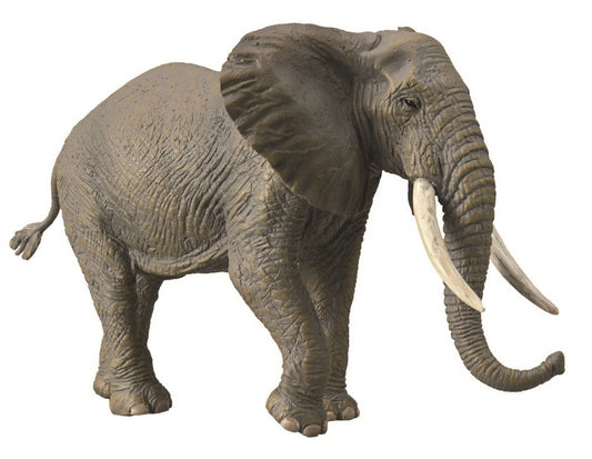 CollectA African Elephant